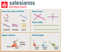 TEMA 14 MATEMÁTICAS.