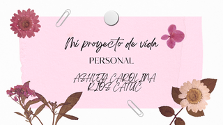 Mi proyecto de vida