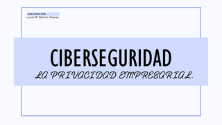 Ciberseguridad